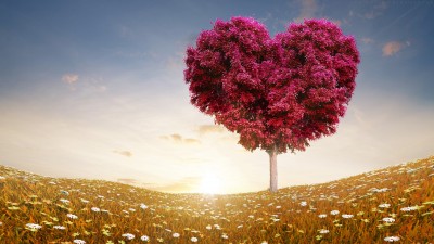 صورتی-درخت-قلب-عاشقانه-رمانتیک-طبیعت-هنری و نقاشی